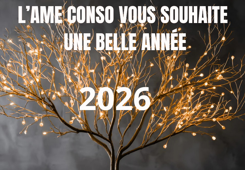 VOEUX AME CONSO